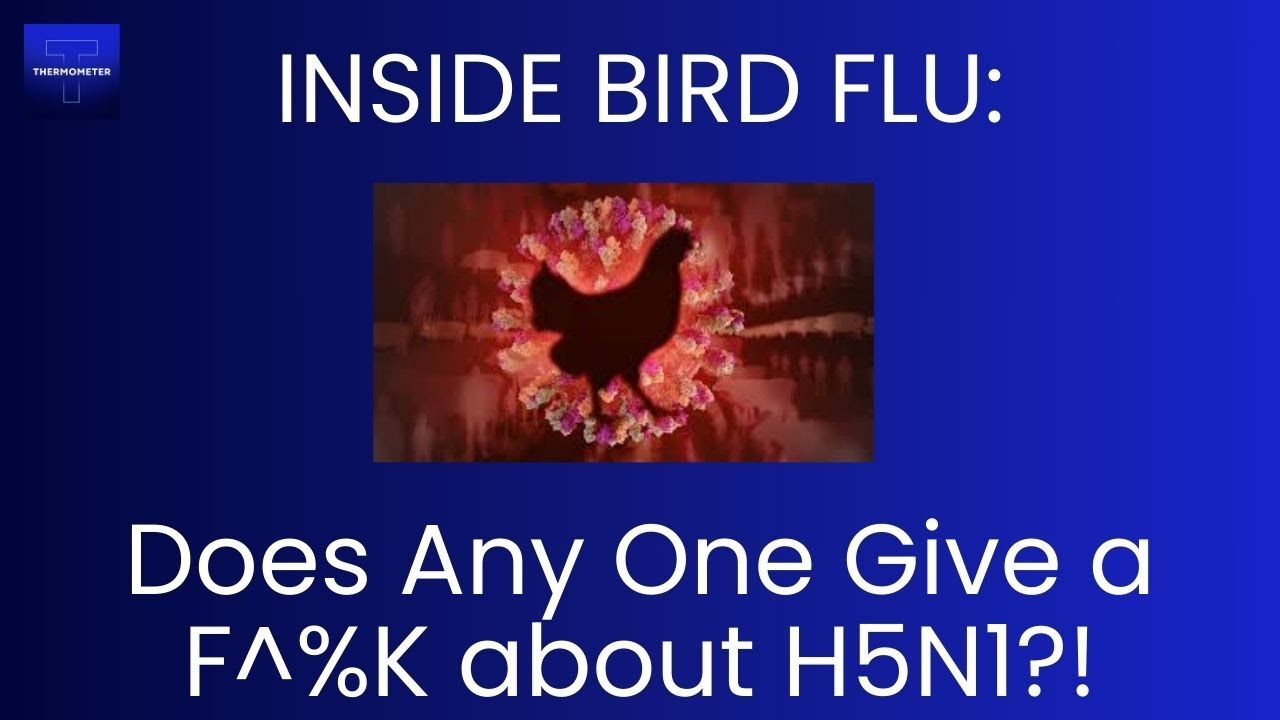 First H5N1 Death in Mexico - Thermometer HQ by Dr Jay Varma