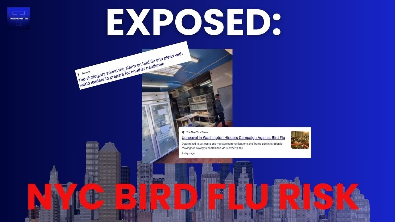 Bird Flu in NYC Live Markets - Thermometer HQ by Dr Jay Varma