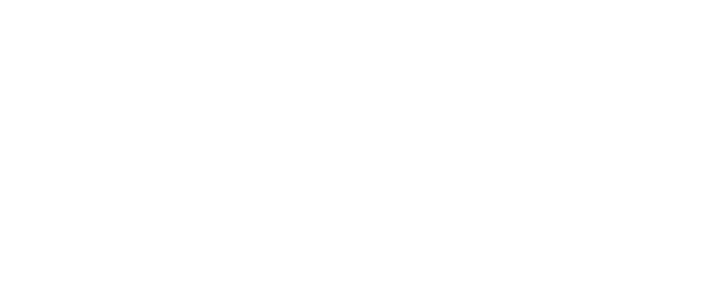 Africa CDC Logo