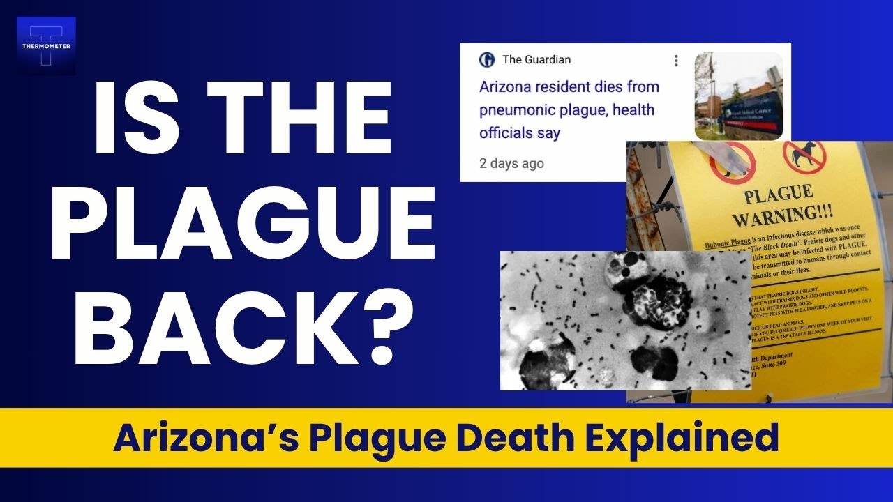Plague Death in Arizona - Dr Jay Varma - Thermometer HQ